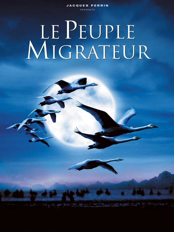 постер Le passage de l oiseau migrateur